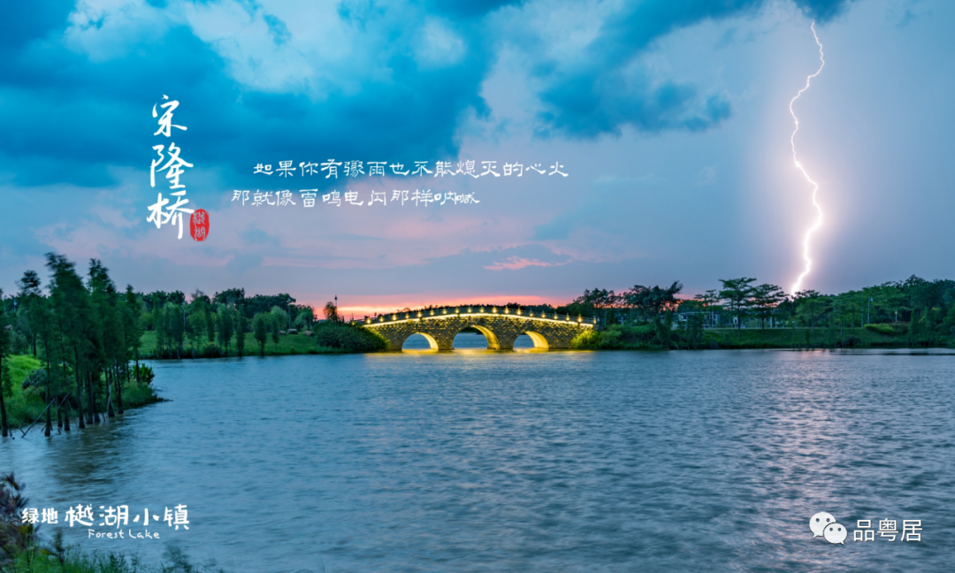 绿地樾湖小镇(图11)